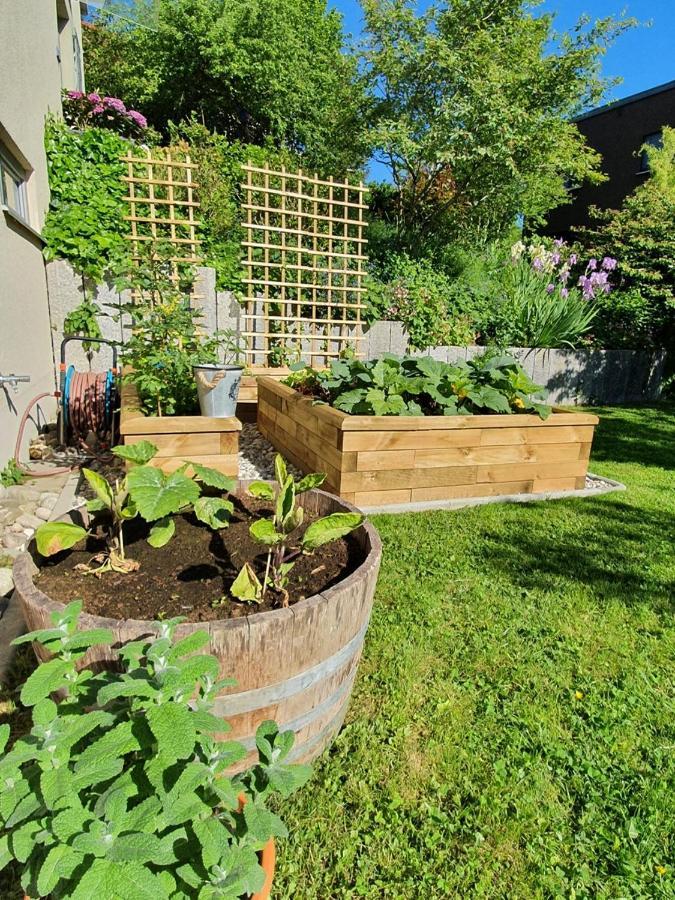 Schoene Wohnung Mit Ausblick Und Gartensitzplatz Lorrach Bagian luar foto