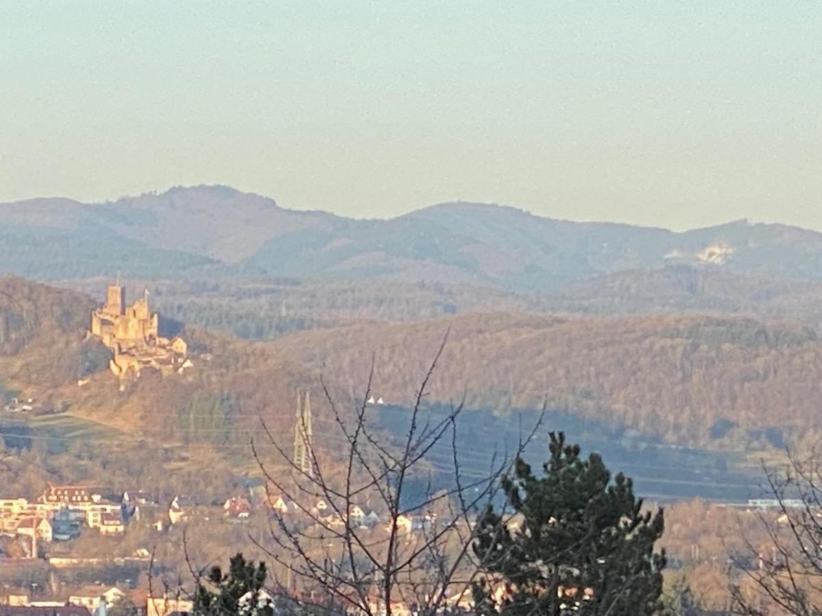 Schoene Wohnung Mit Ausblick Und Gartensitzplatz Lorrach Bagian luar foto