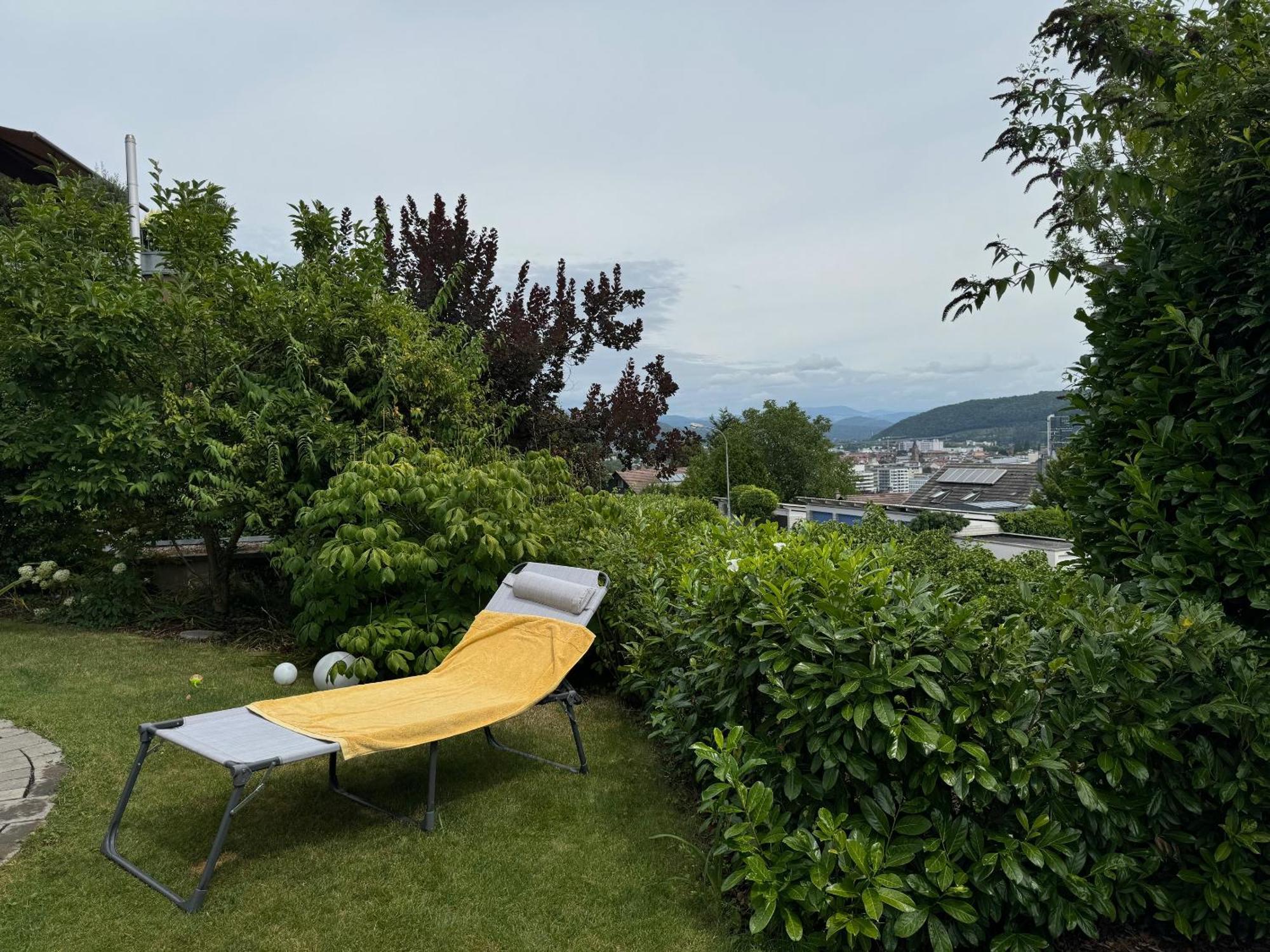Schoene Wohnung Mit Ausblick Und Gartensitzplatz Lorrach Bagian luar foto